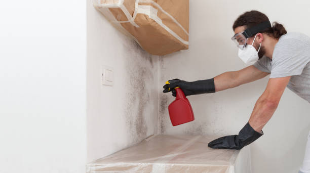 Professional Bathroom Mold Removal technician working in Newton, NC
