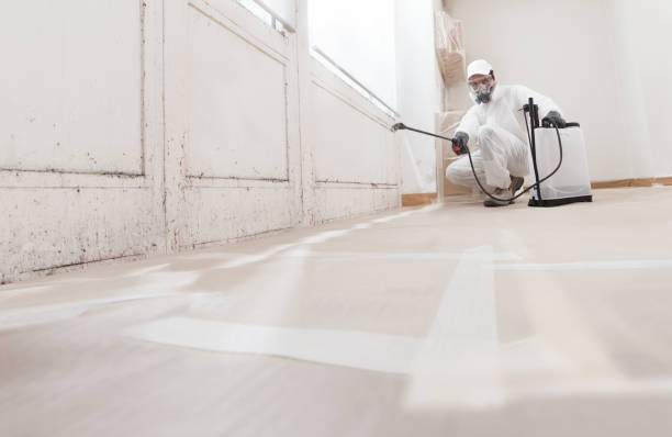 24/7 Emergency Bathroom Mold Removal experts in Newton, NC